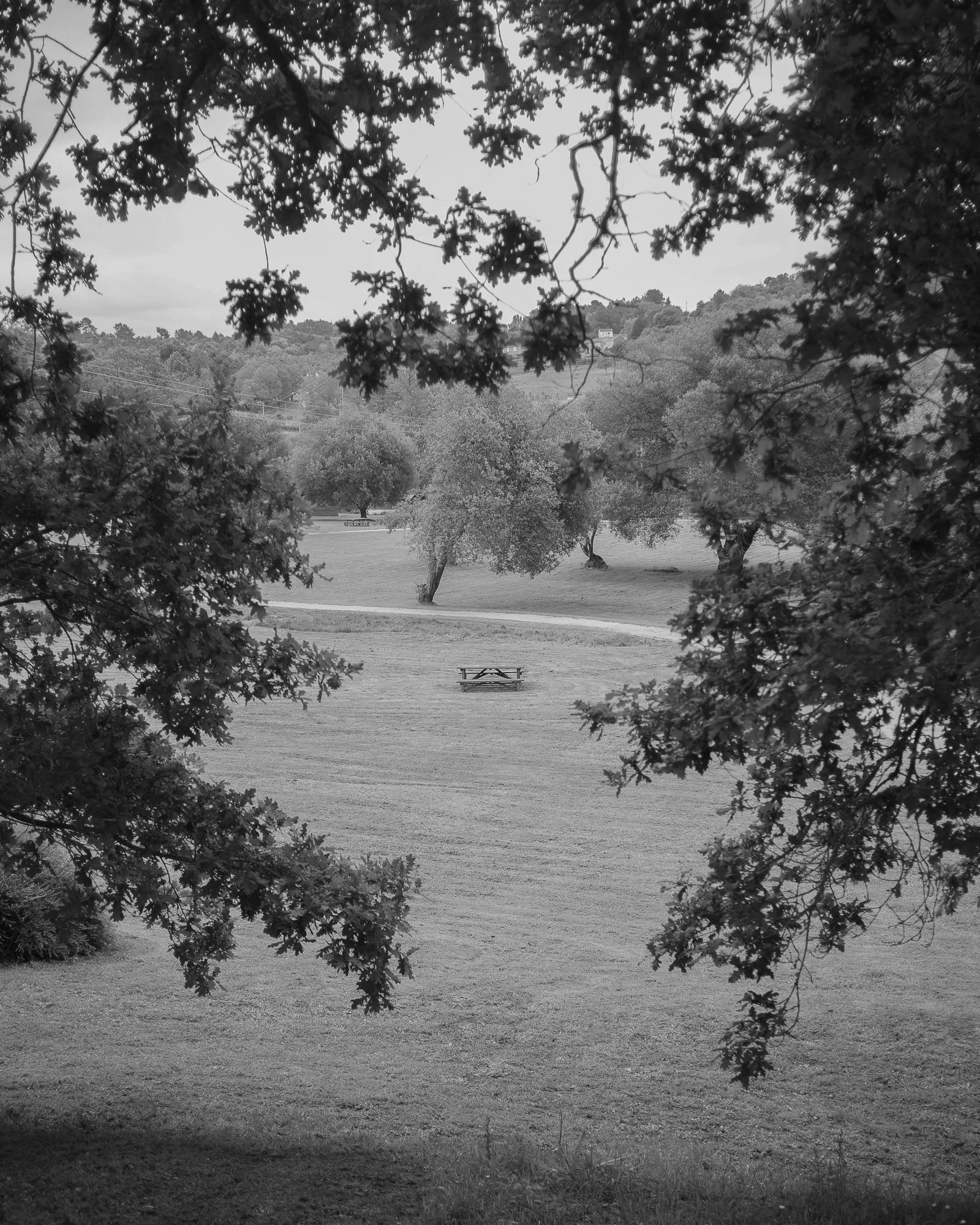 O que canto, aínda resiste 02