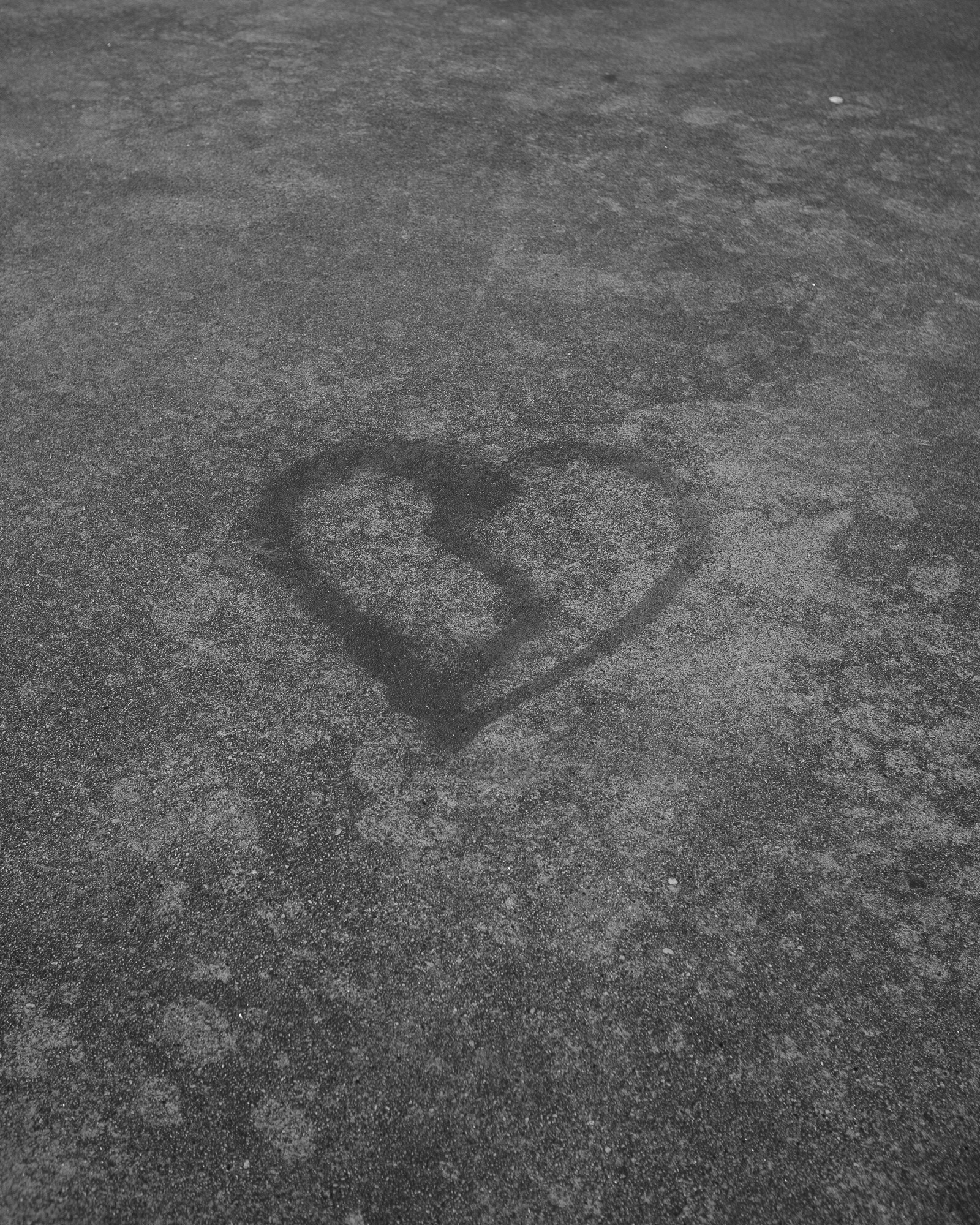 O que canto, aínda resiste 08